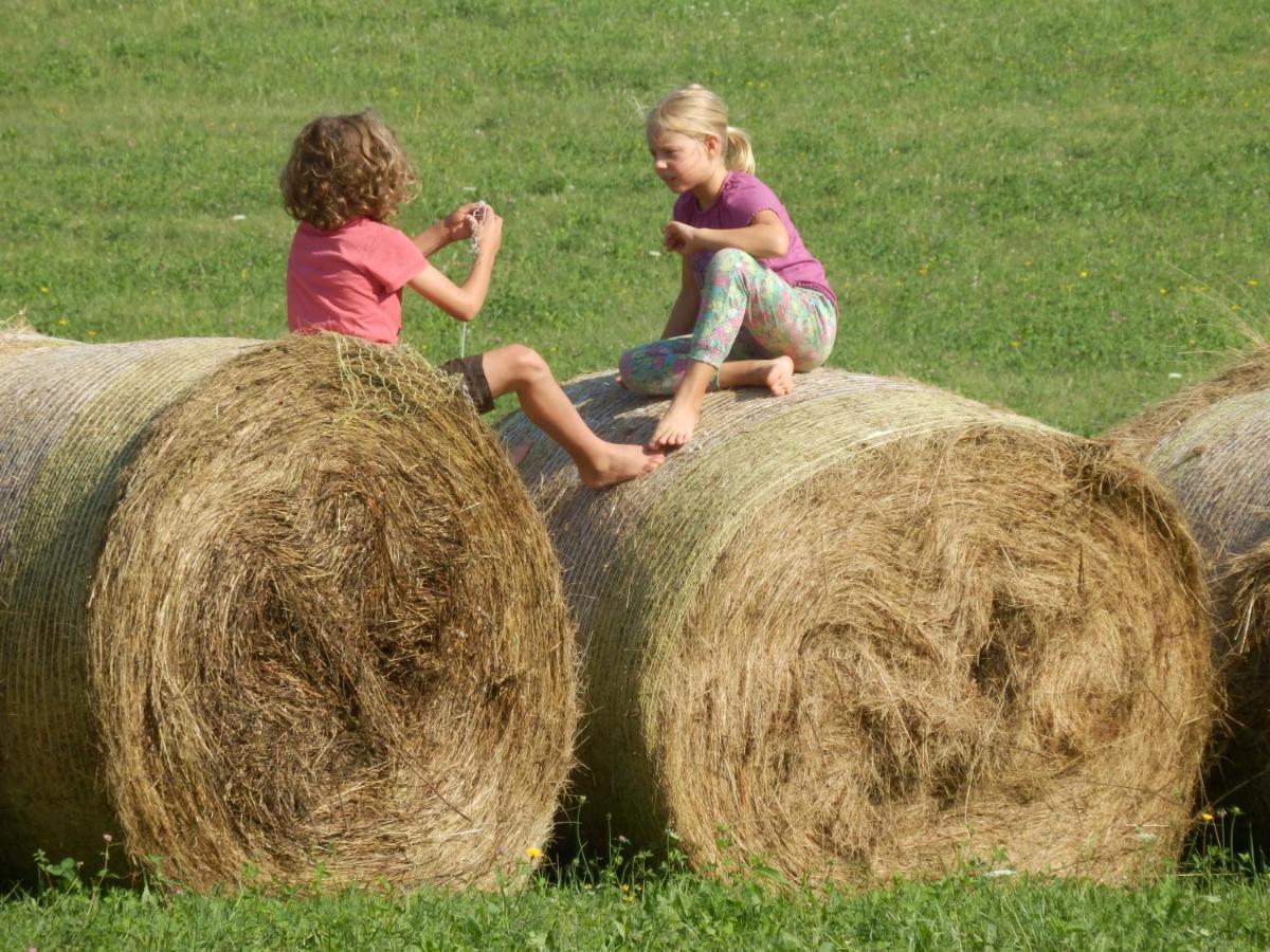 Ferienhof Gruene Kuh Elsteraue Kültér fotó